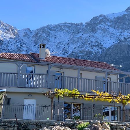 Casa Basgiu, Chambres Avec Balcon Et Table D'Hotes Zilia Exteriér fotografie