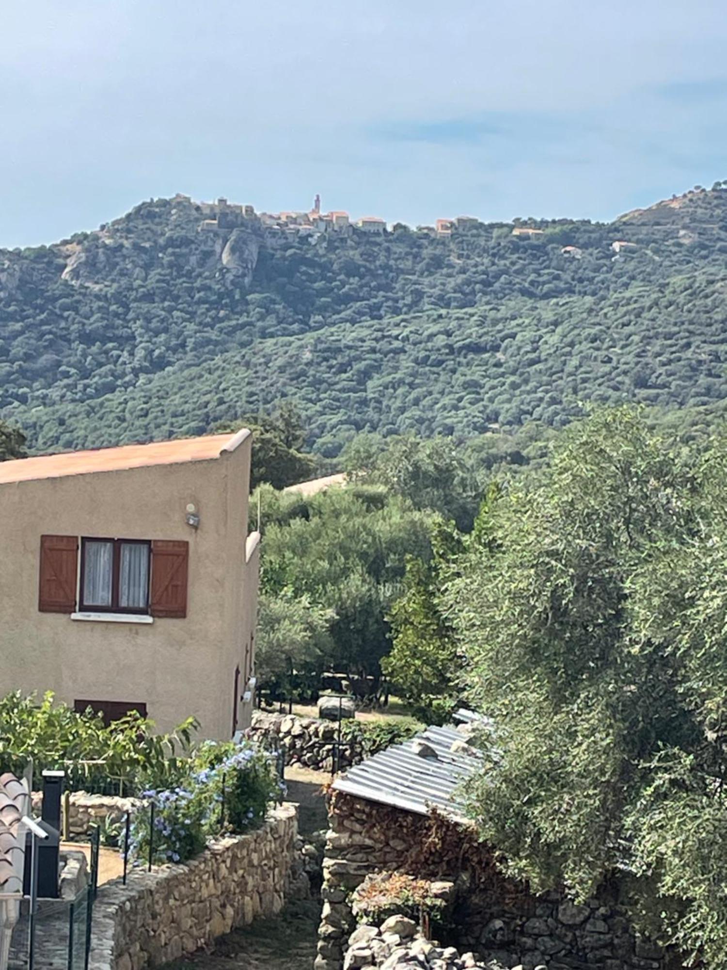 Casa Basgiu, Chambres Avec Balcon Et Table D'Hotes Zilia Exteriér fotografie